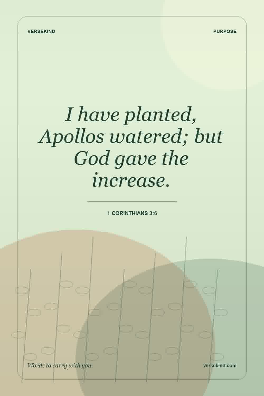 I have planted, Apollos watered; but God gave the increase. — 1 Corinthians 3:6