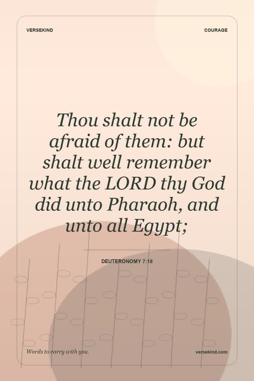 Thou shalt not be afraid of them: but shalt well remember what the LORD thy God did unto Pharaoh, and unto all Egypt; — Deuteronomy 7:18