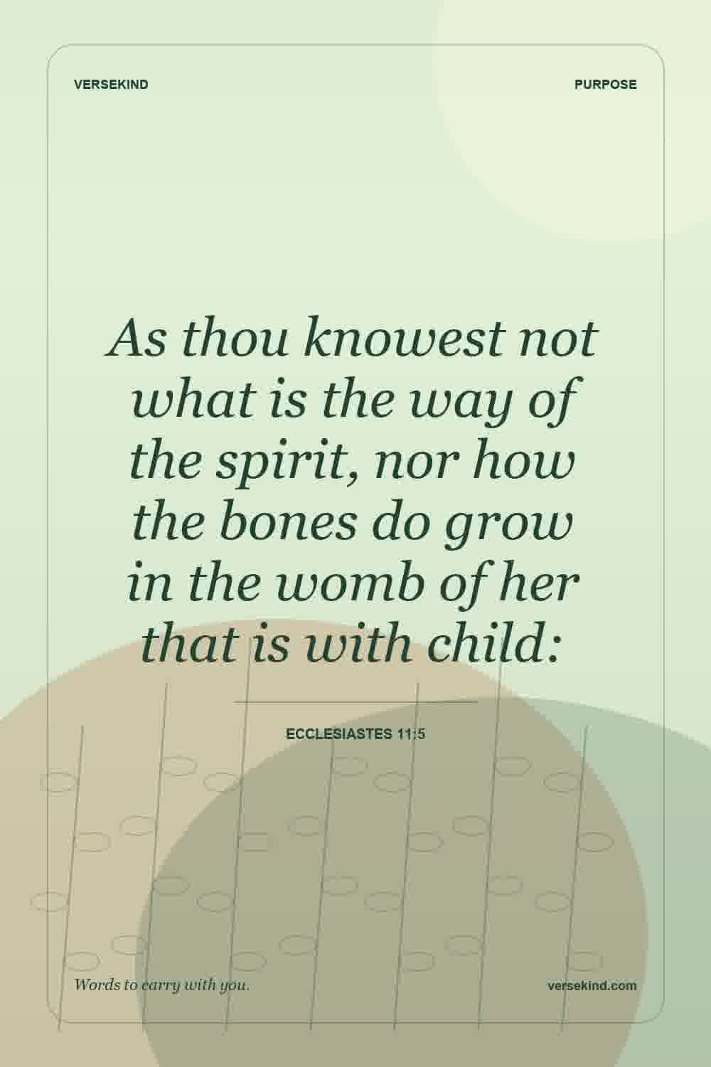 As thou knowest not what is the way of the spirit, nor how the bones do grow in the womb of her that is with child: — Ecclesiastes 11:5