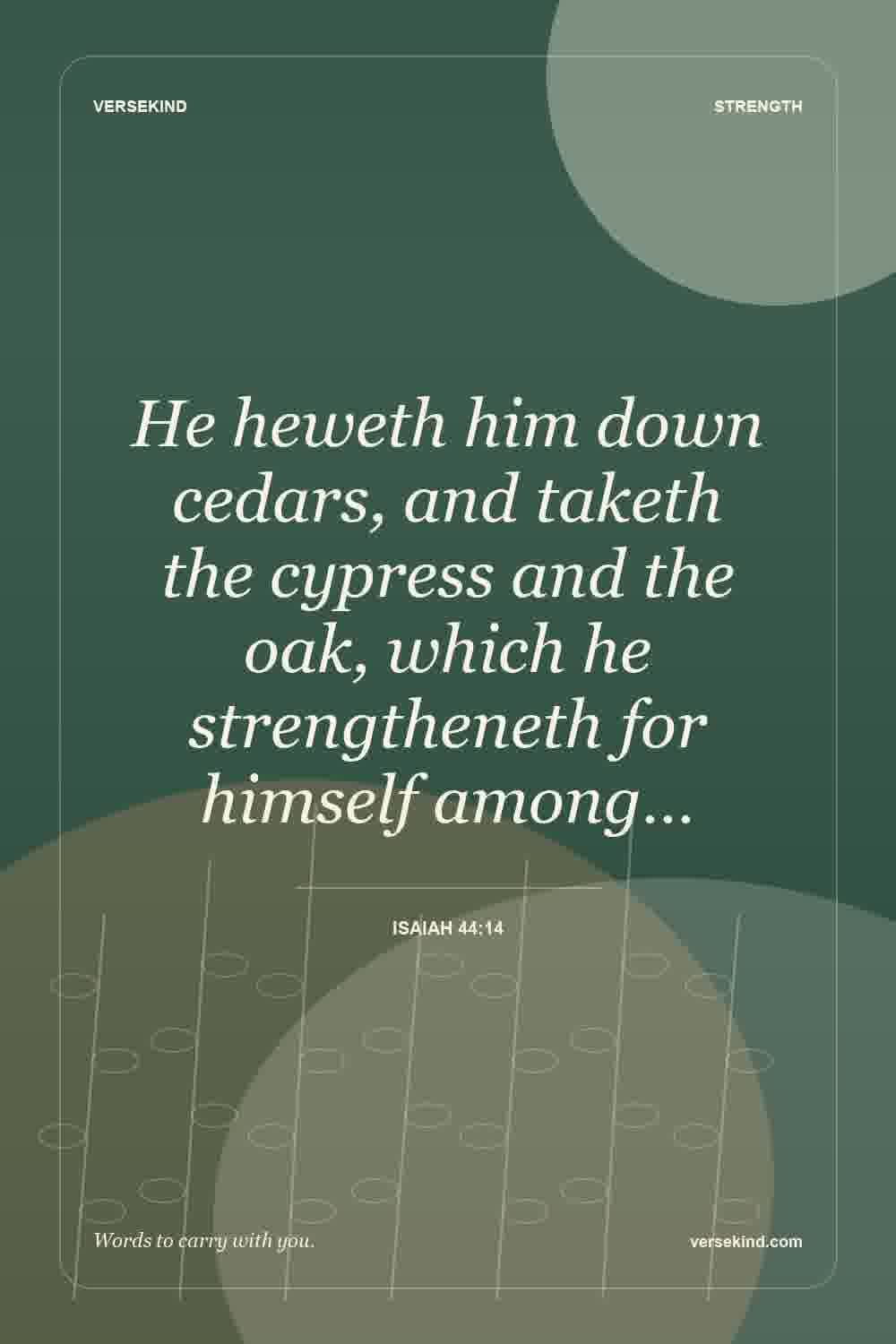 He heweth him down cedars, and taketh the cypress and the oak, which he strengtheneth for himself among… — Isaiah 44:14