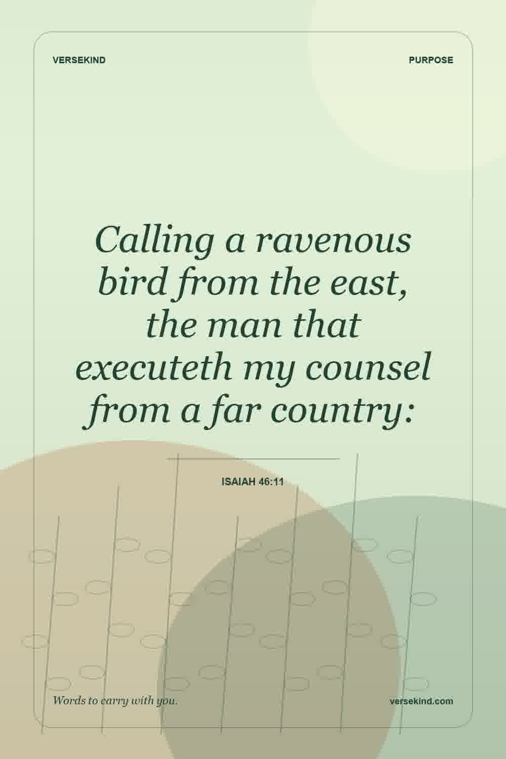 Calling a ravenous bird from the east, the man that executeth my counsel from a far country: — Isaiah 46:11