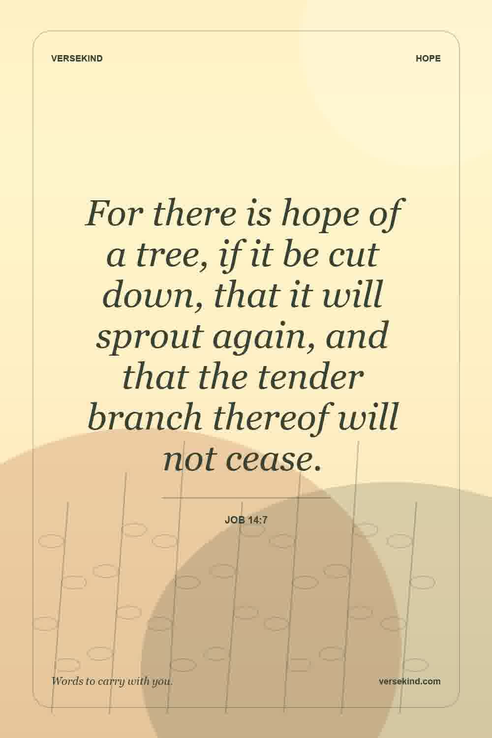 For there is hope of a tree, if it be cut down, that it will sprout again, and that the tender branch thereof will not cease. — Job 14:7
