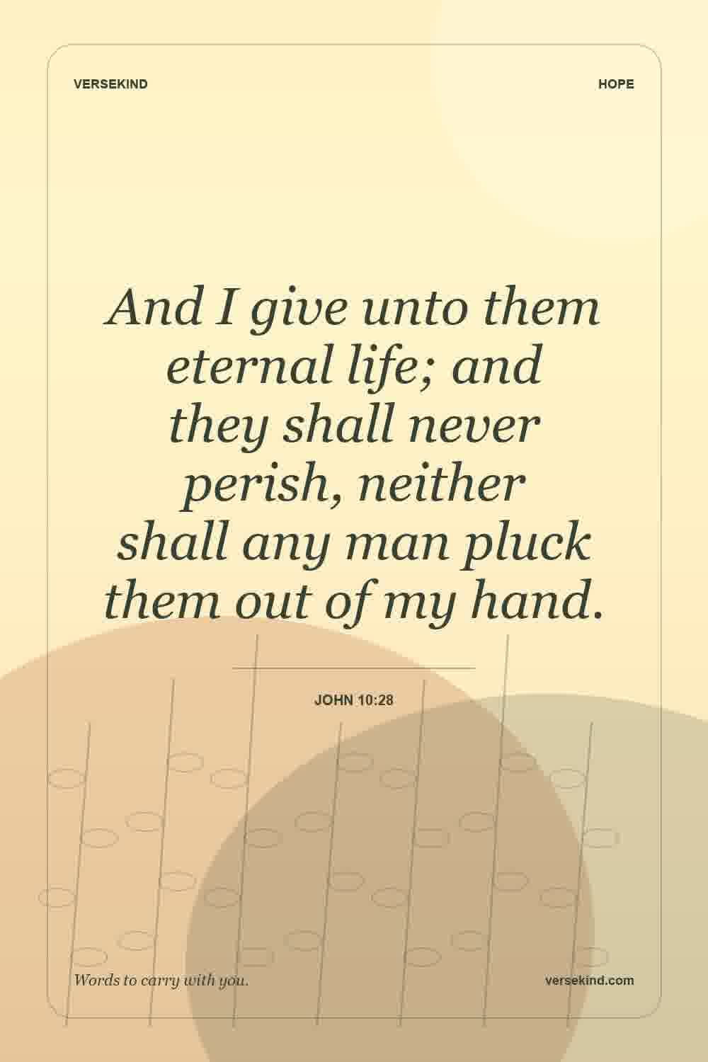 And I give unto them eternal life; and they shall never perish, neither shall any man pluck them out of my hand. — John 10:28