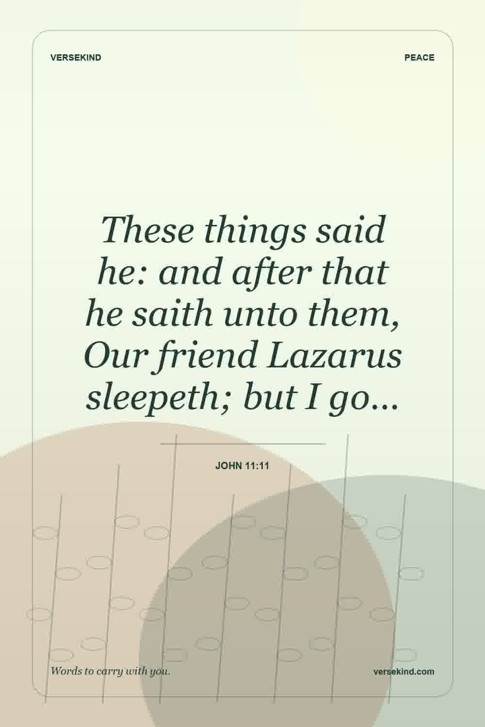 These things said he: and after that he saith unto them, Our friend Lazarus sleepeth; but I go… — John 11:11