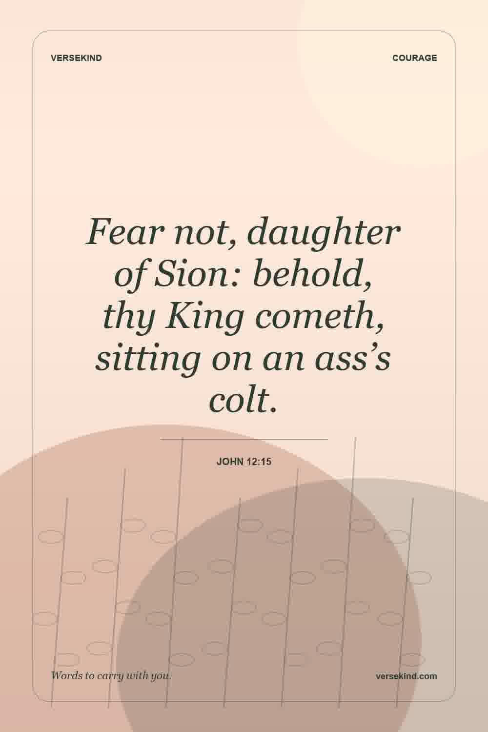 Fear not, daughter of Sion: behold, thy King cometh, sitting on an ass’s colt. — John 12:15