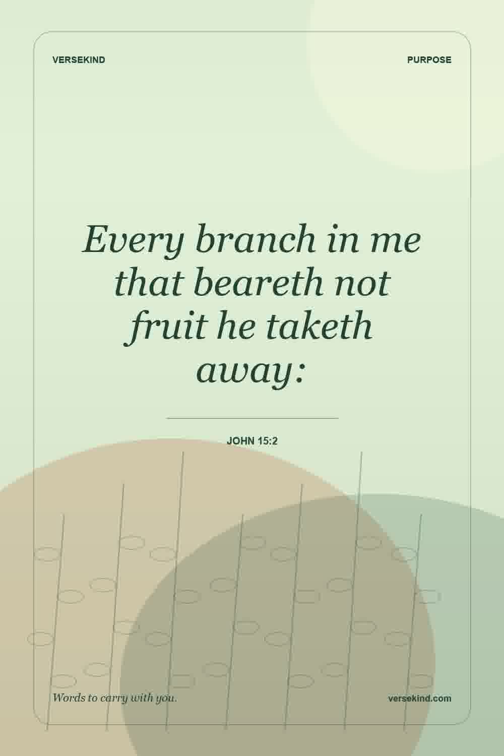 Every branch in me that beareth not fruit he taketh away: — John 15:2