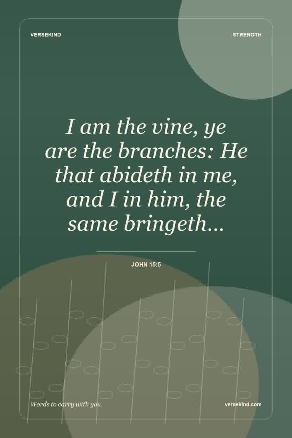 I am the vine, ye are the branches: He that abideth in me, and I in him, the same bringeth… — John 15:5