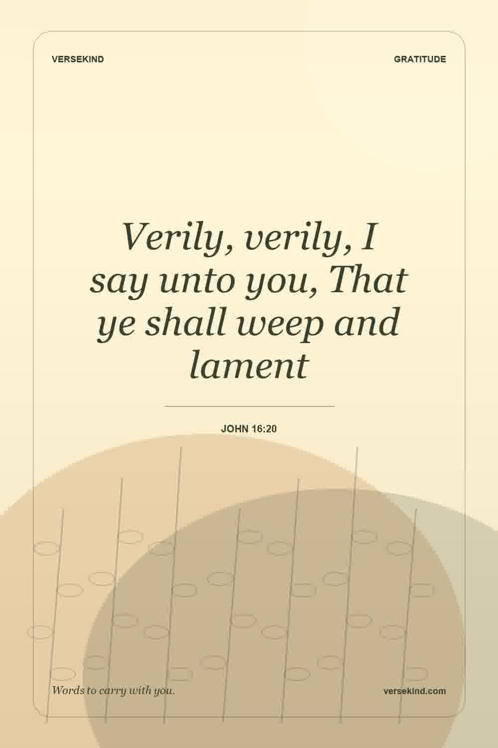 Verily, verily, I say unto you, That ye shall weep and lament — John 16:20