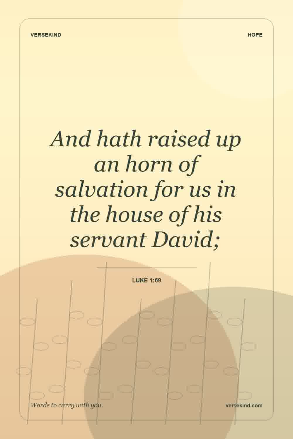 And hath raised up an horn of salvation for us in the house of his servant David; — Luke 1:69
