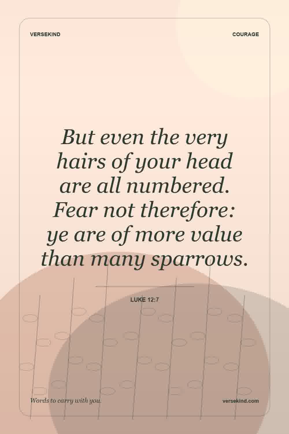But even the very hairs of your head are all numbered. Fear not therefore: ye are of more value than many sparrows. — Luke 12:7