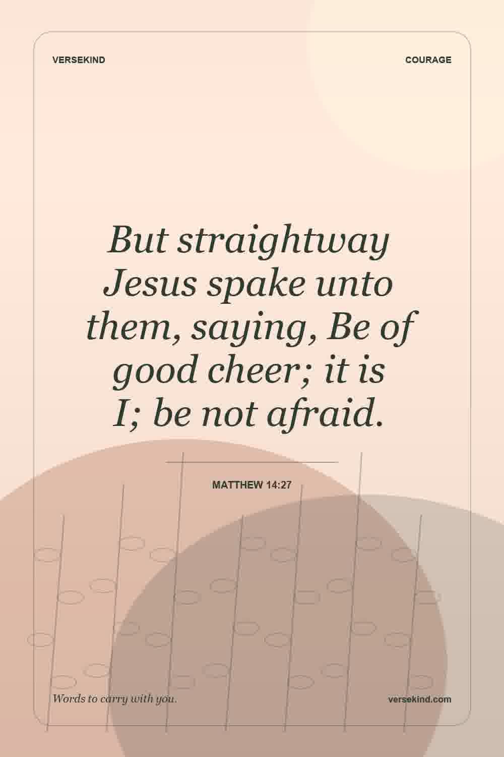 But straightway Jesus spake unto them, saying, Be of good cheer; it is I; be not afraid. — Matthew 14:27