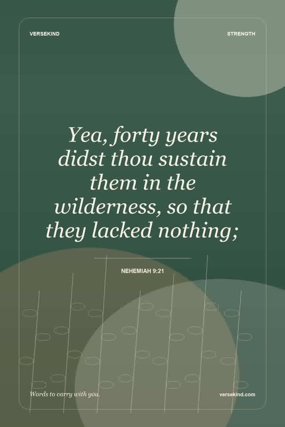 Yea, forty years didst thou sustain them in the wilderness, so that they lacked nothing; — Nehemiah 9:21