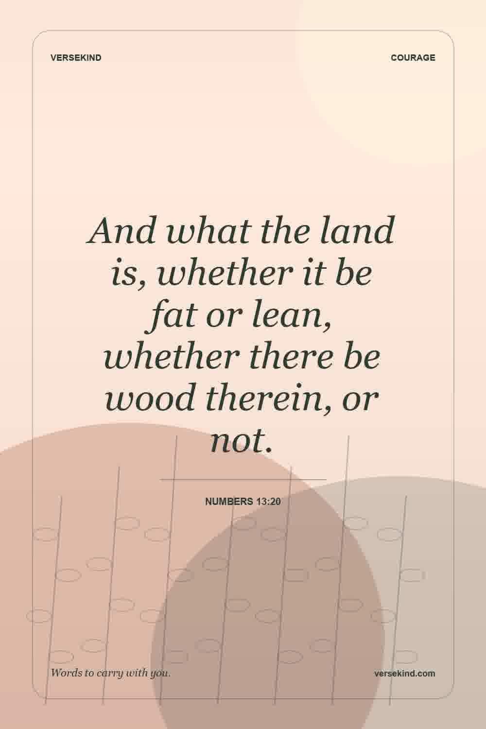 And what the land is, whether it be fat or lean, whether there be wood therein, or not. — Numbers 13:20