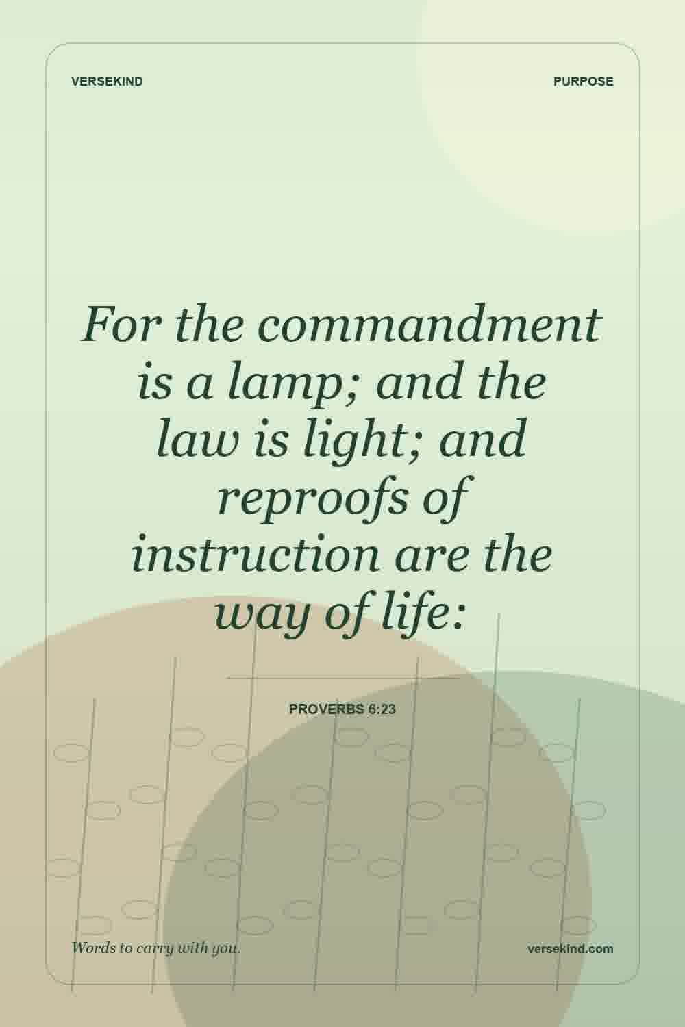 For the commandment is a lamp; and the law is light; and reproofs of instruction are the way of life: — Proverbs 6:23