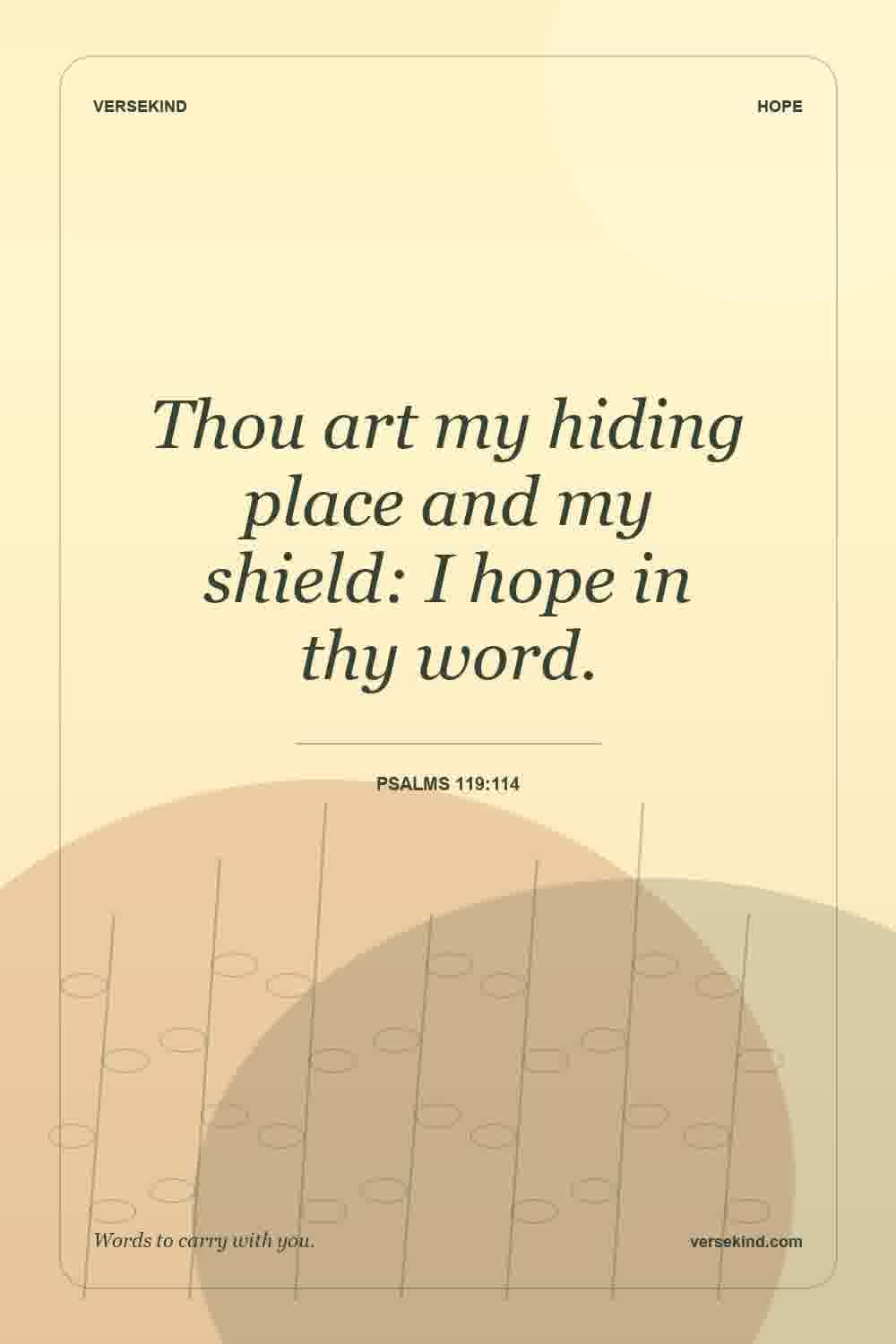 Thou art my hiding place and my shield: I hope in thy word. — Psalms 119:114