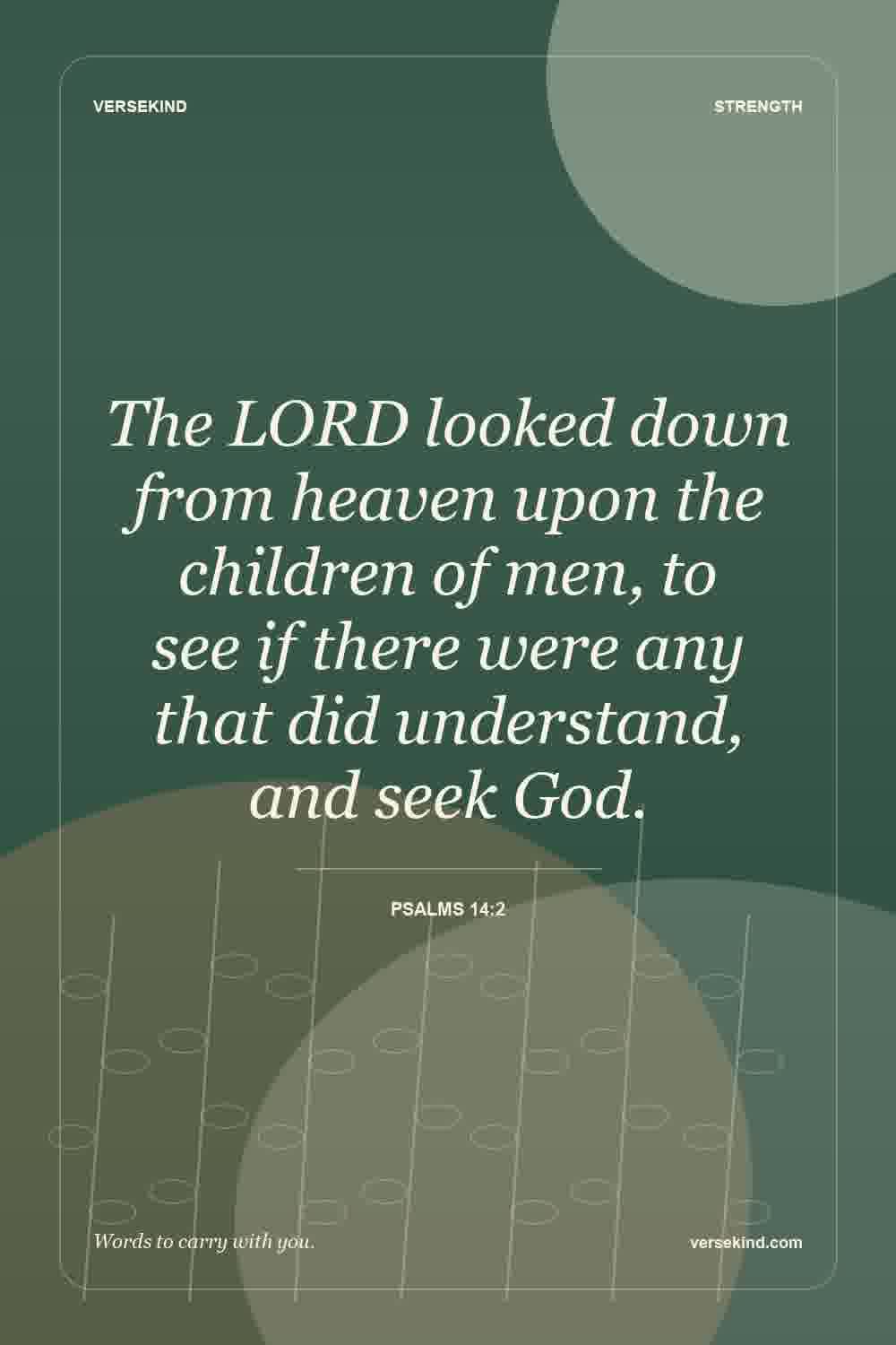 The LORD looked down from heaven upon the children of men, to see if there were any that did understand, and seek God. — Psalms 14:2