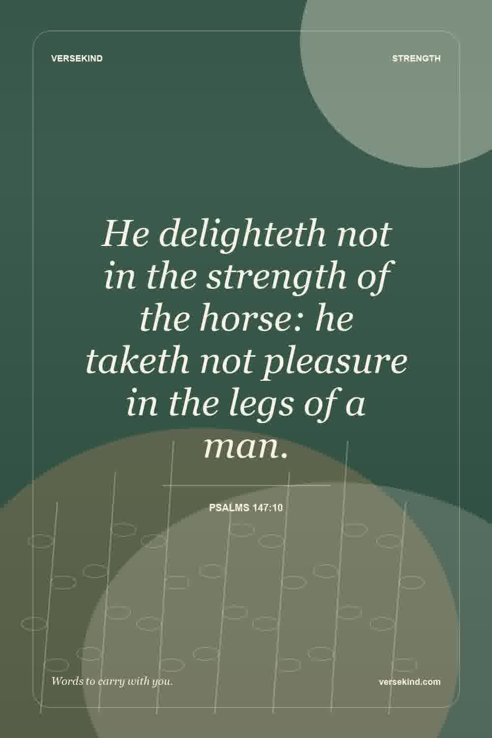 He delighteth not in the strength of the horse: he taketh not pleasure in the legs of a man. — Psalms 147:10