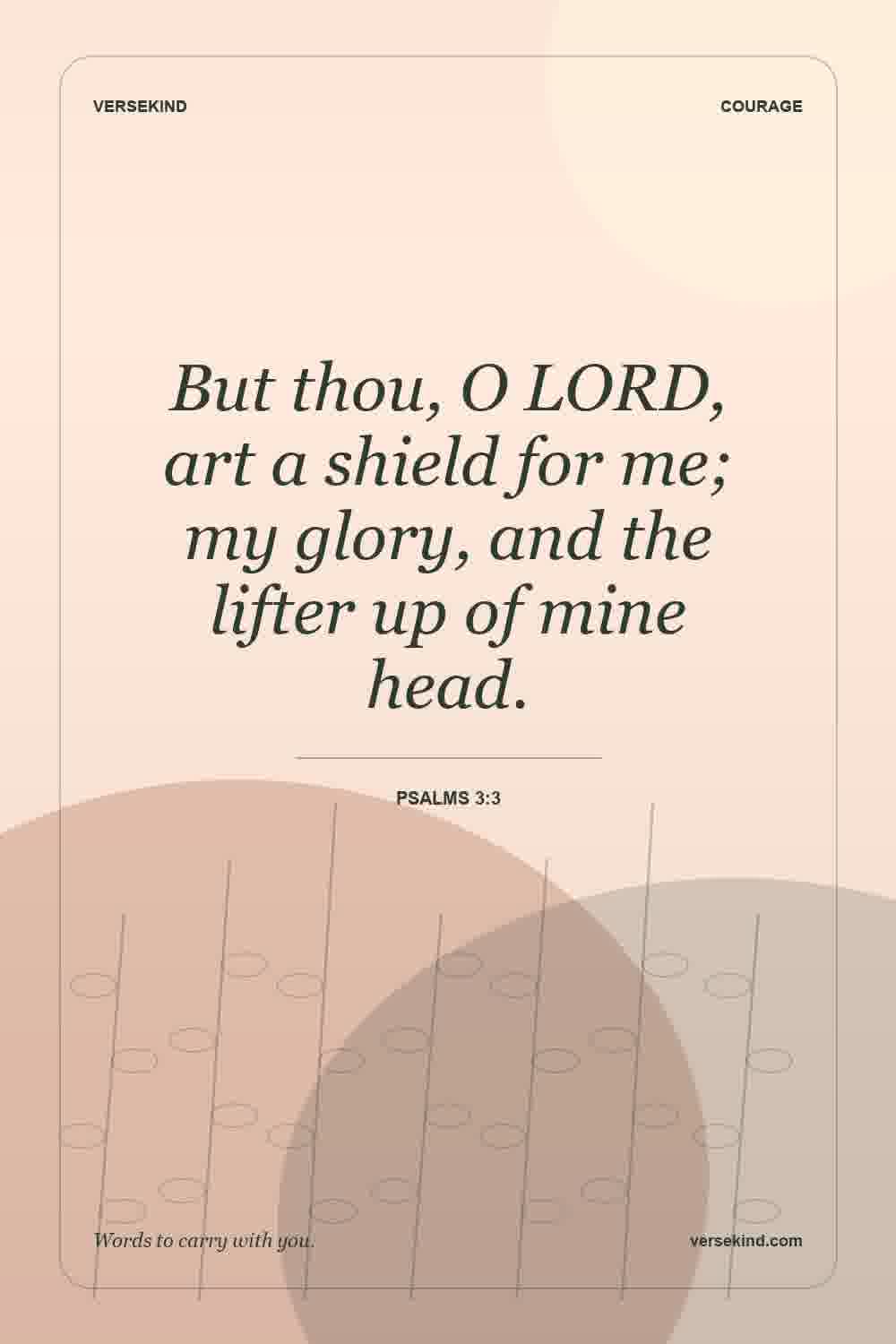 But thou, O LORD, art a shield for me; my glory, and the lifter up of mine head. — Psalms 3:3