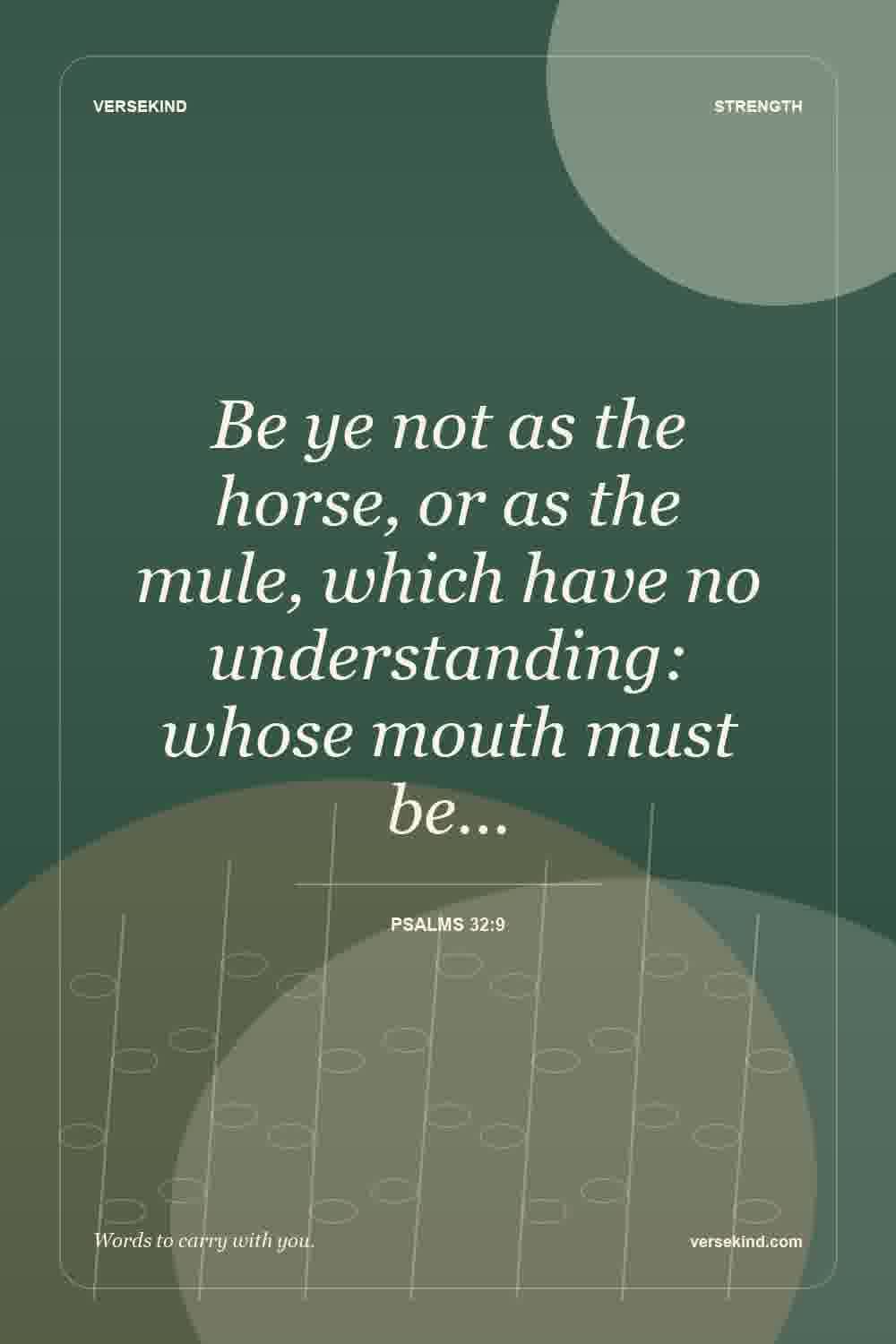 Be ye not as the horse, or as the mule, which have no understanding: whose mouth must be… — Psalms 32:9
