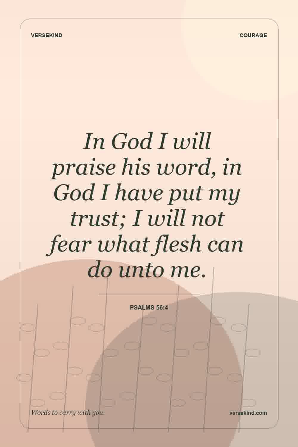 In God I will praise his word, in God I have put my trust; I will not fear what flesh can do unto me. — Psalms 56:4