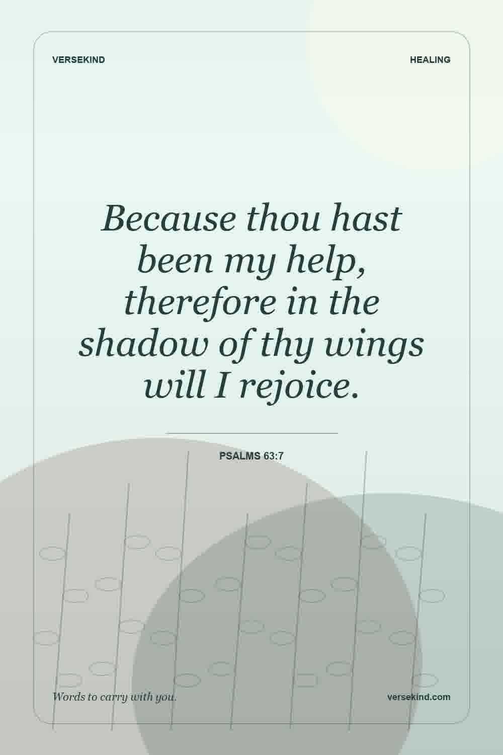 Because thou hast been my help, therefore in the shadow of thy wings will I rejoice. — Psalms 63:7