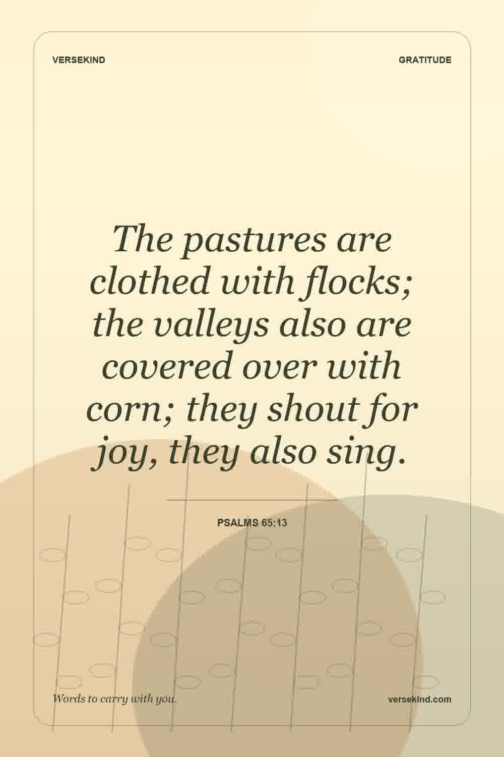 The pastures are clothed with flocks; the valleys also are covered over with corn; they shout for joy, they also sing. — Psalms 65:13